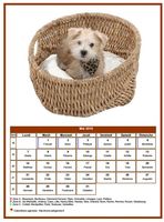 Calendrier de mai 2018 de la série 'Chiens'