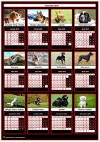 Un chien de race pour chacun des mois de ce calendrier 2018 annuel