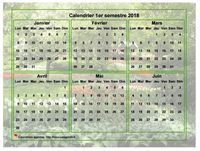Calendrier 2018 à imprimer semestriel, format paysage, avec photo en fond de calendrier