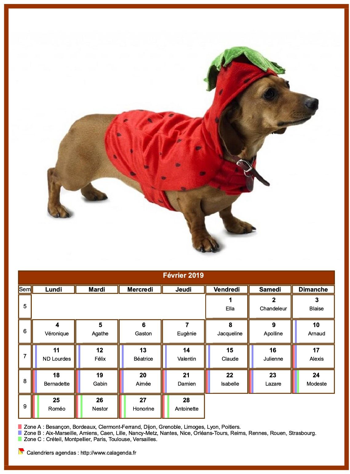 Calendrier février 2019 chiens