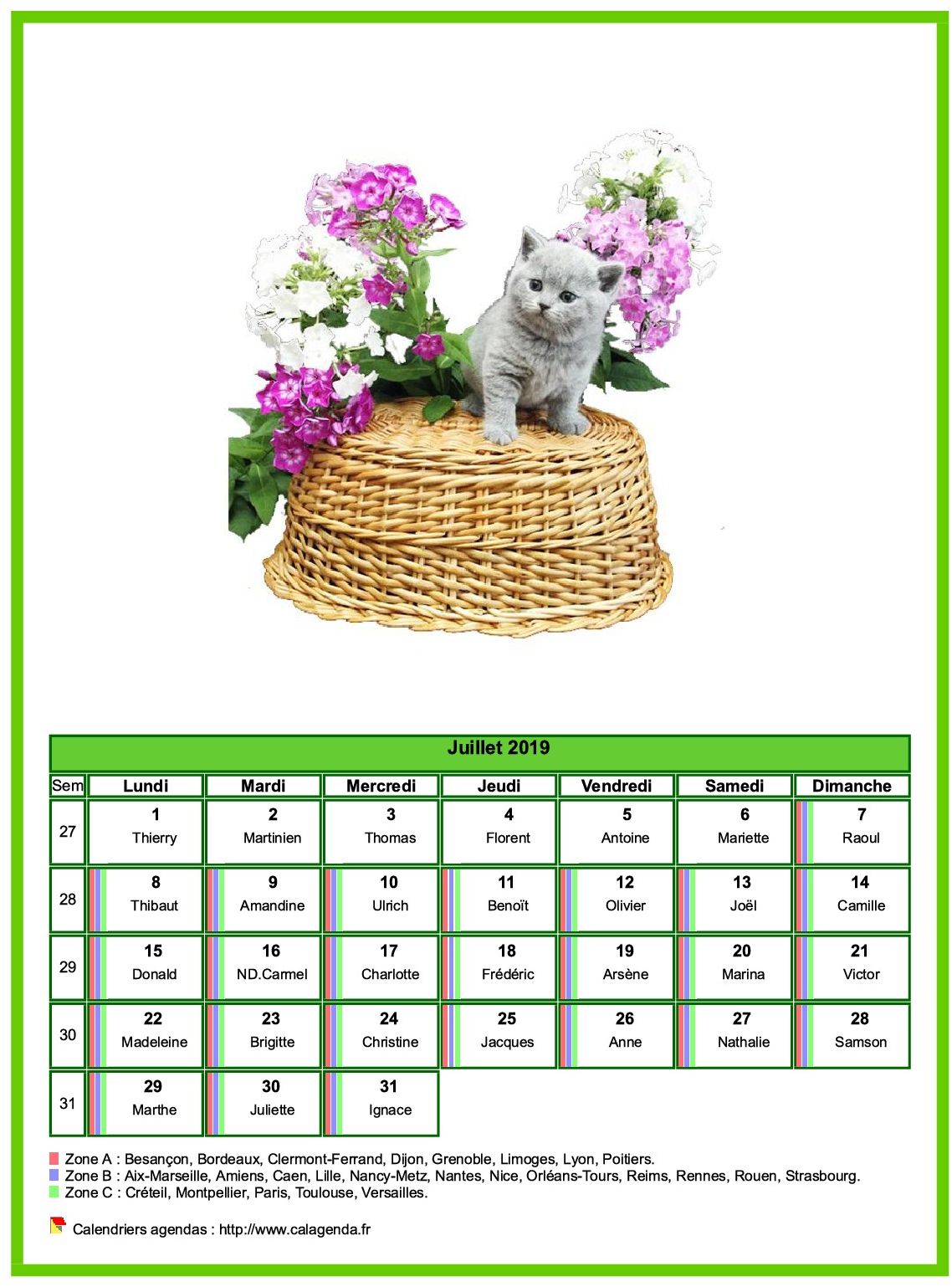 Calendrier juillet 2019 chats