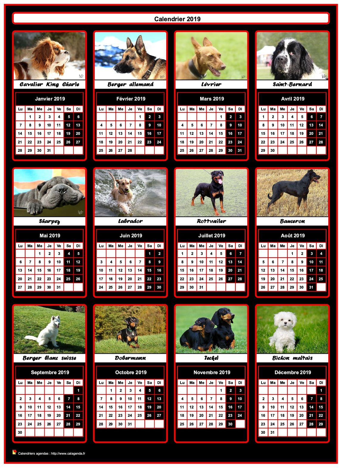 Calendrier 2019 annuel, 12 chiens de race