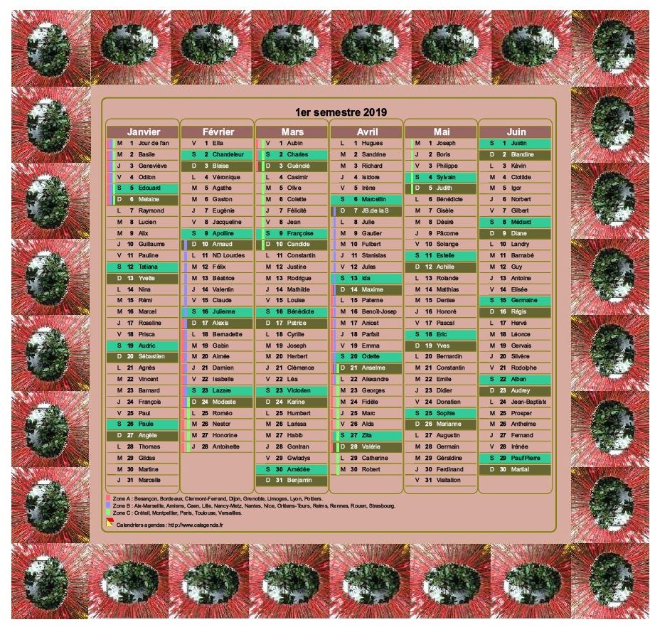 Calendrier 2019 semestriel décoratif à imprimer, avec cadre photo, format portrait, une colonne par mois