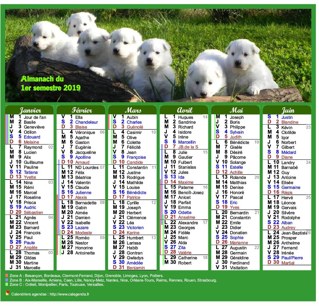 Calendrier 2019 semestriel style calendrier des postes Calendrier 2019 semestriel style calendrier des postes