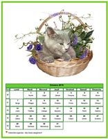 Calendrier d'octobre 2019 de la série 'Chats'