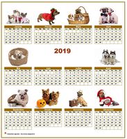 Calendrier 2019 annuel spécial 'chiens' avec 10 photos