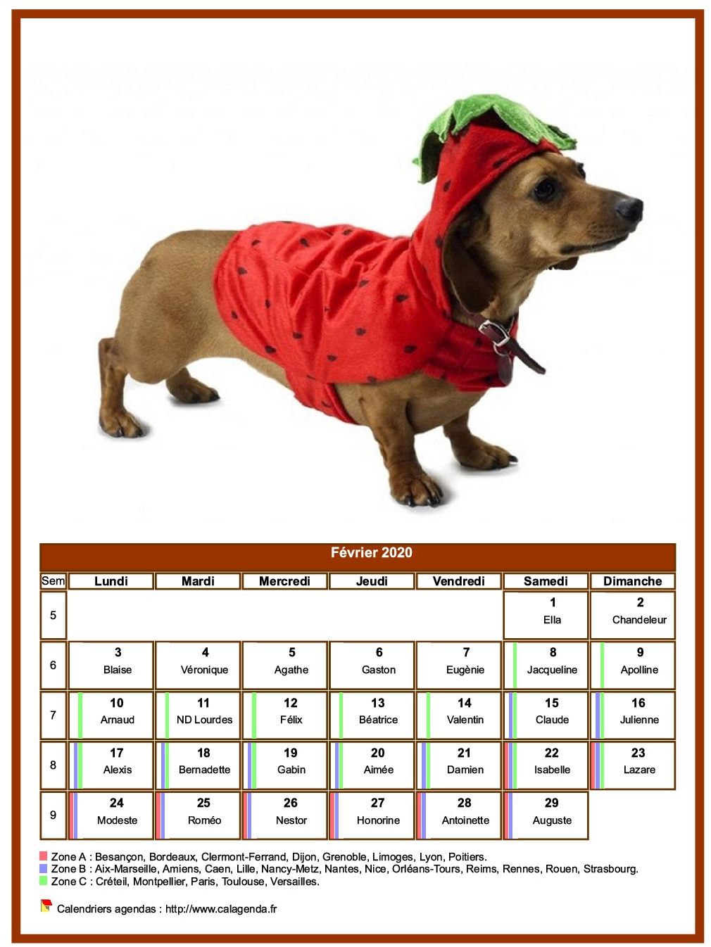 Calendrier février 2020 chiens