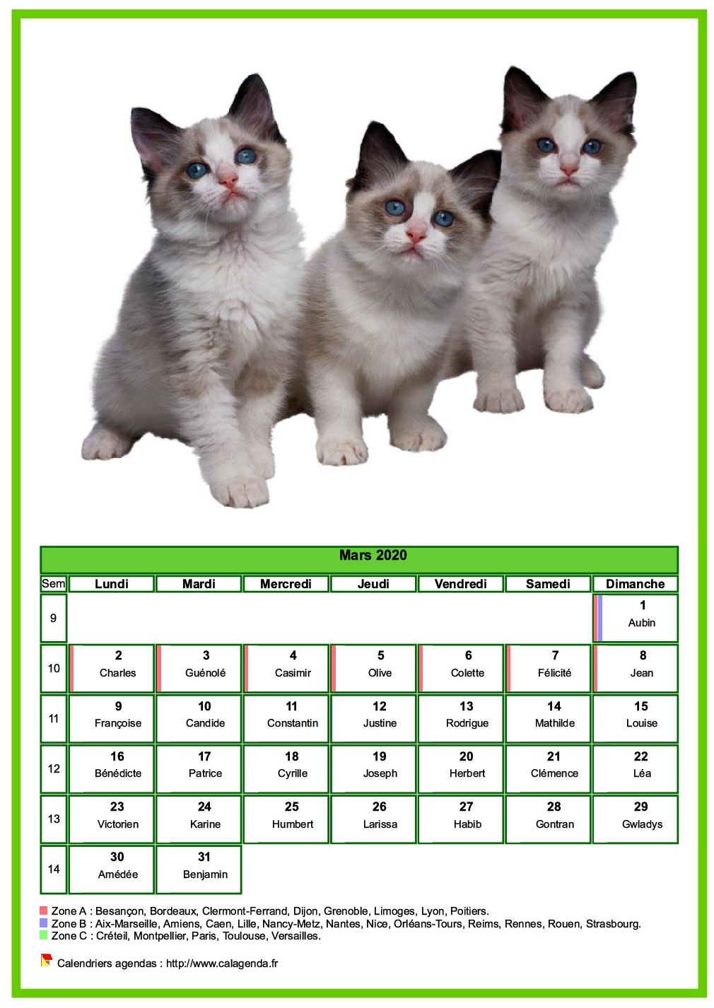 Calendrier mars 2020 chats