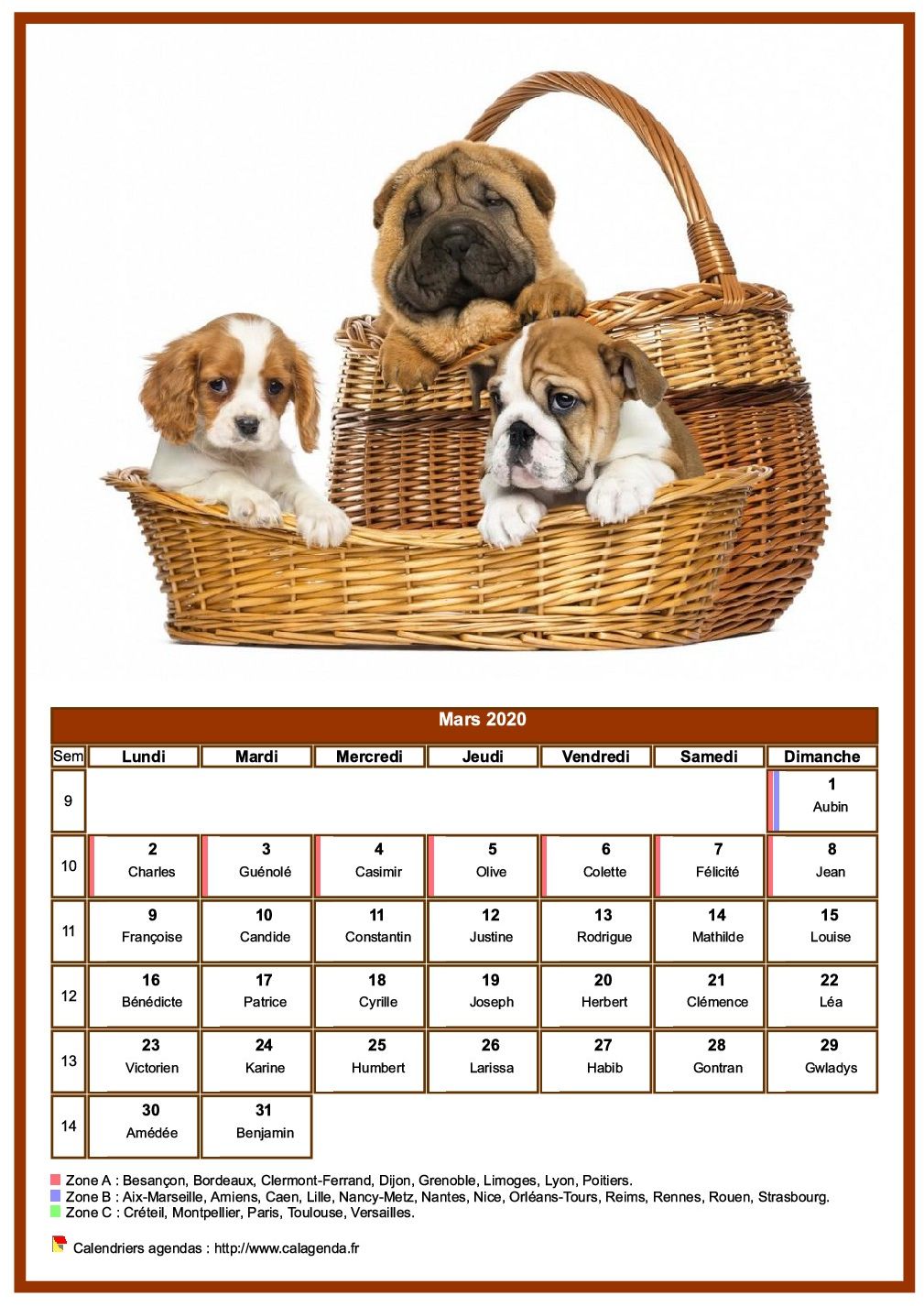 Calendrier mars 2020 chiens