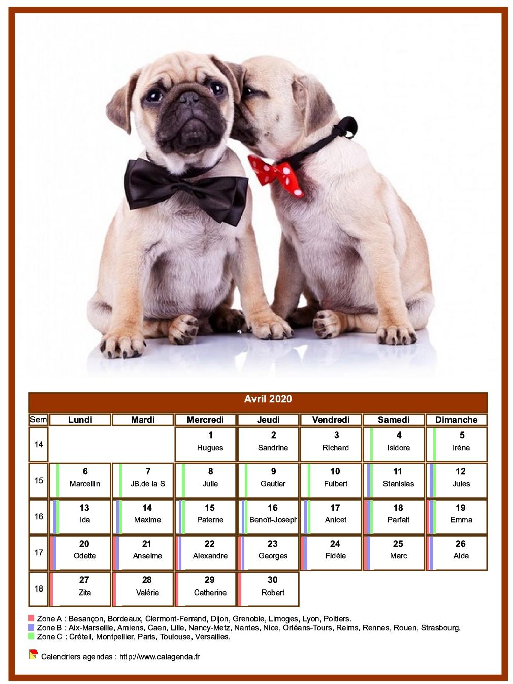 Calendrier avril 2020 chiens