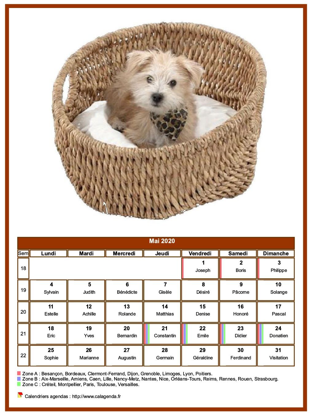 Calendrier mai 2020 chiens