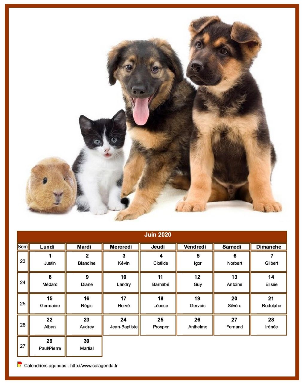 Calendrier juin 2020 chiens