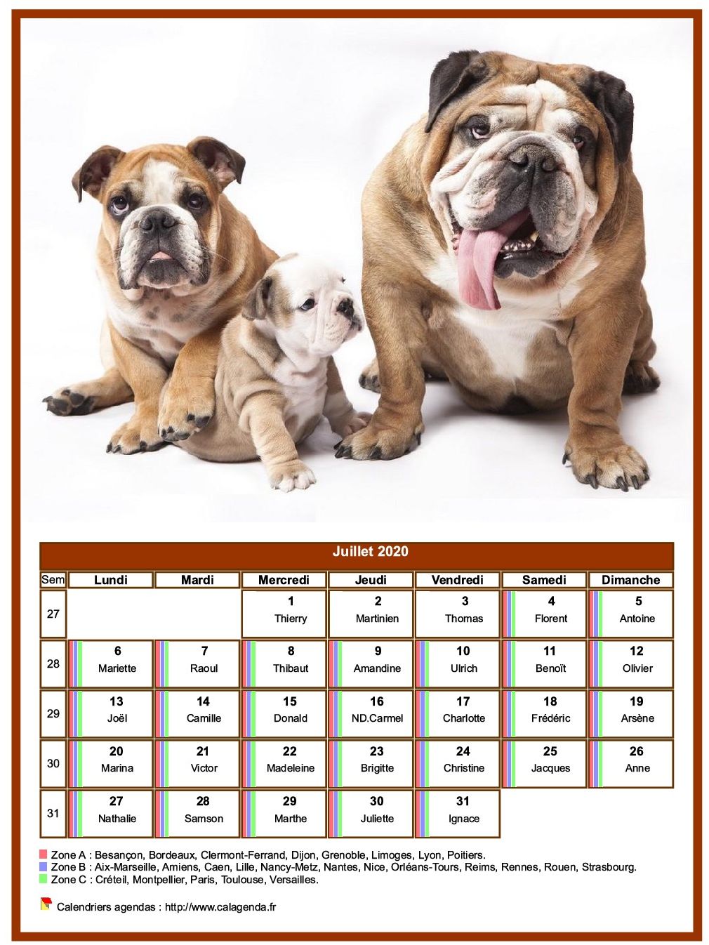 Calendrier juillet 2020 chiens