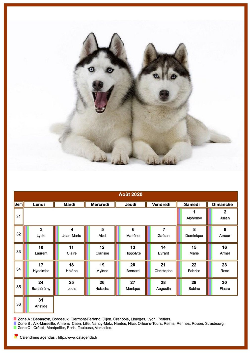 Calendrier août 2020 chiens