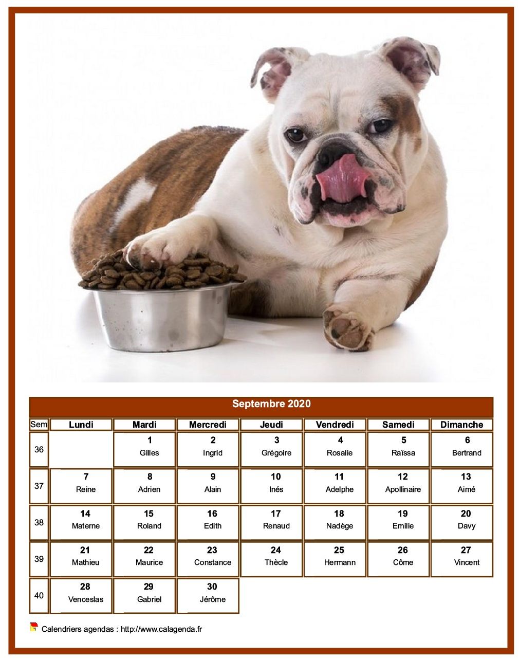 Calendrier septembre 2020 chiens