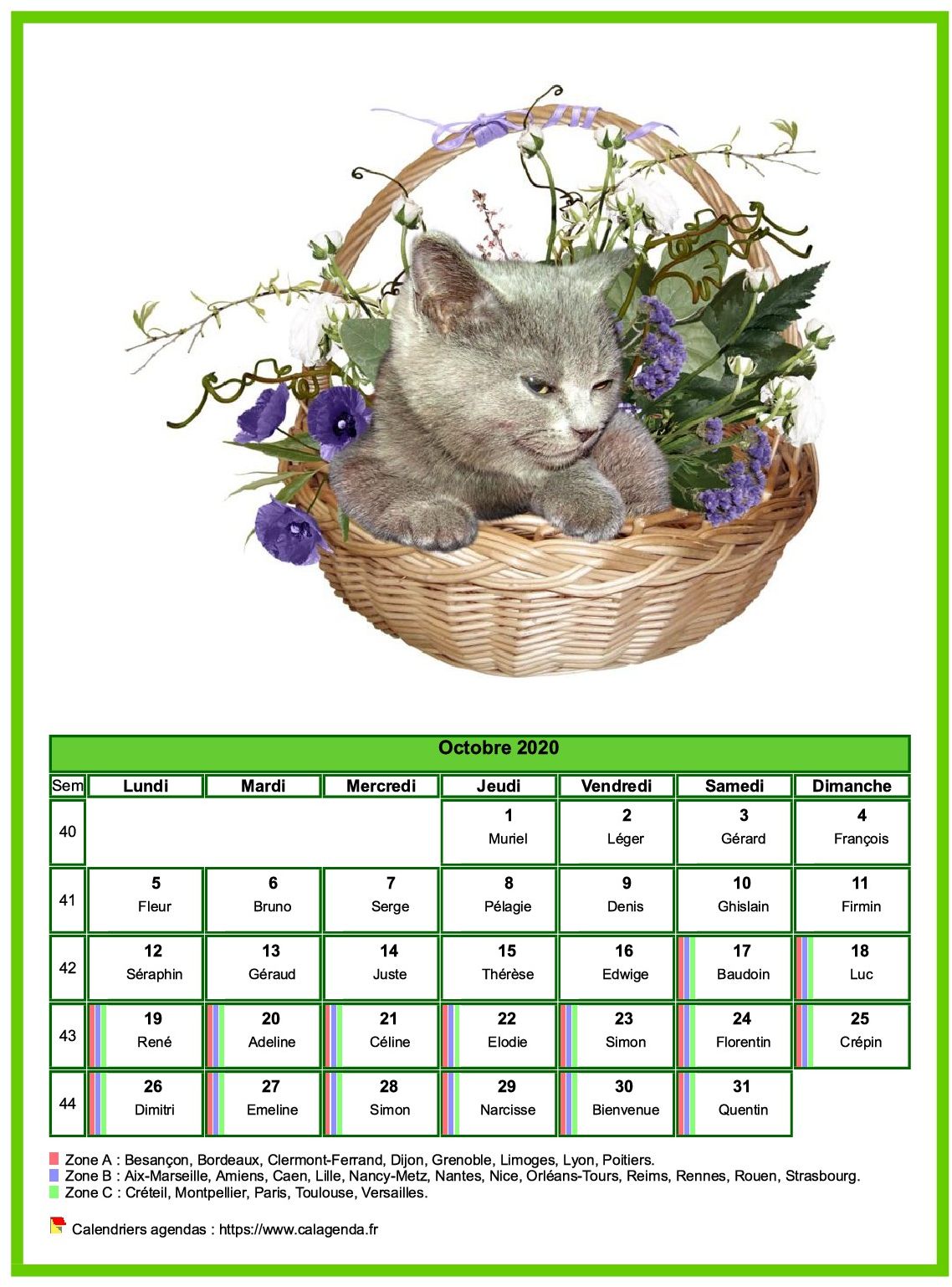 Calendrier octobre 2020 chats