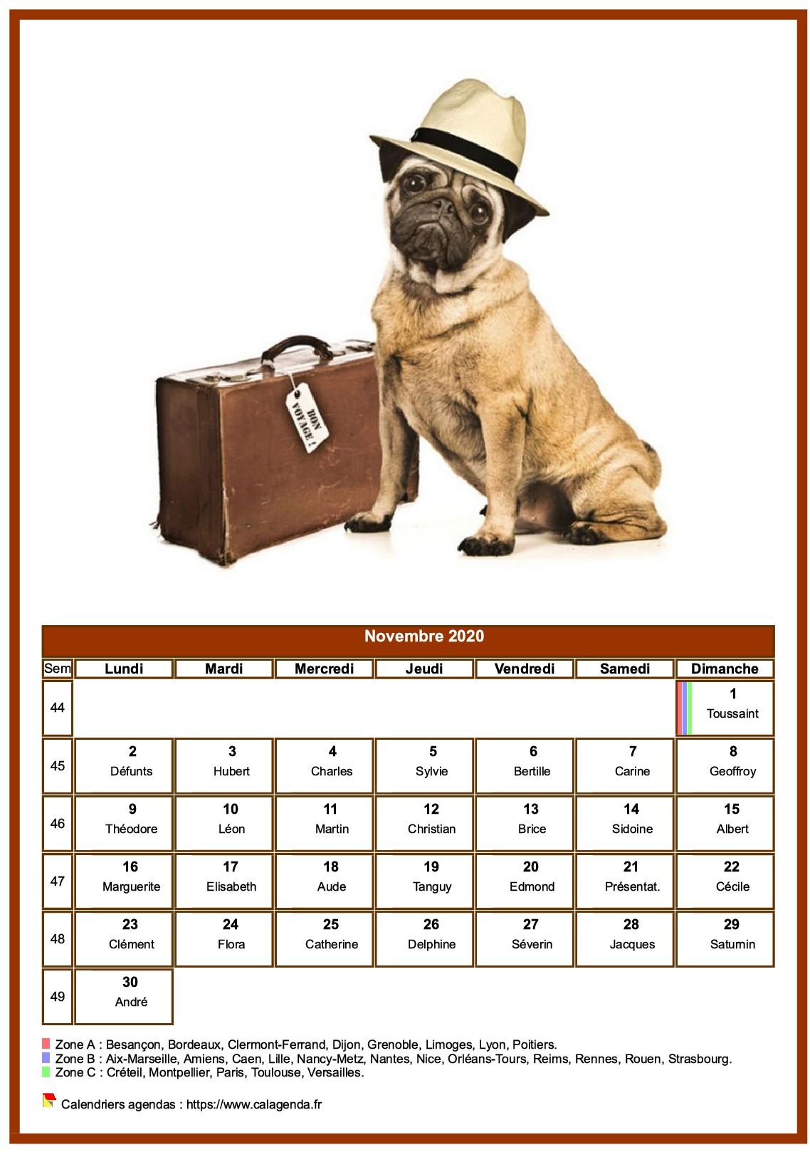 Calendrier novembre 2020 chiens