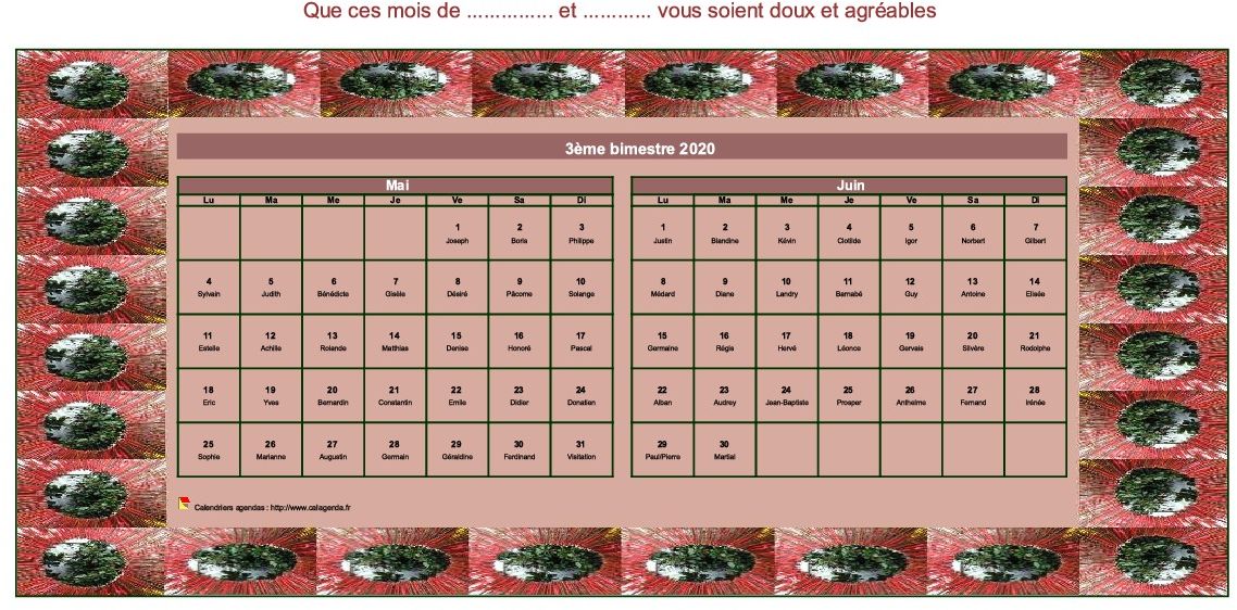 Calendrier 2020 à imprimer bimestriel décoratif, format paysage, avec cadre photo