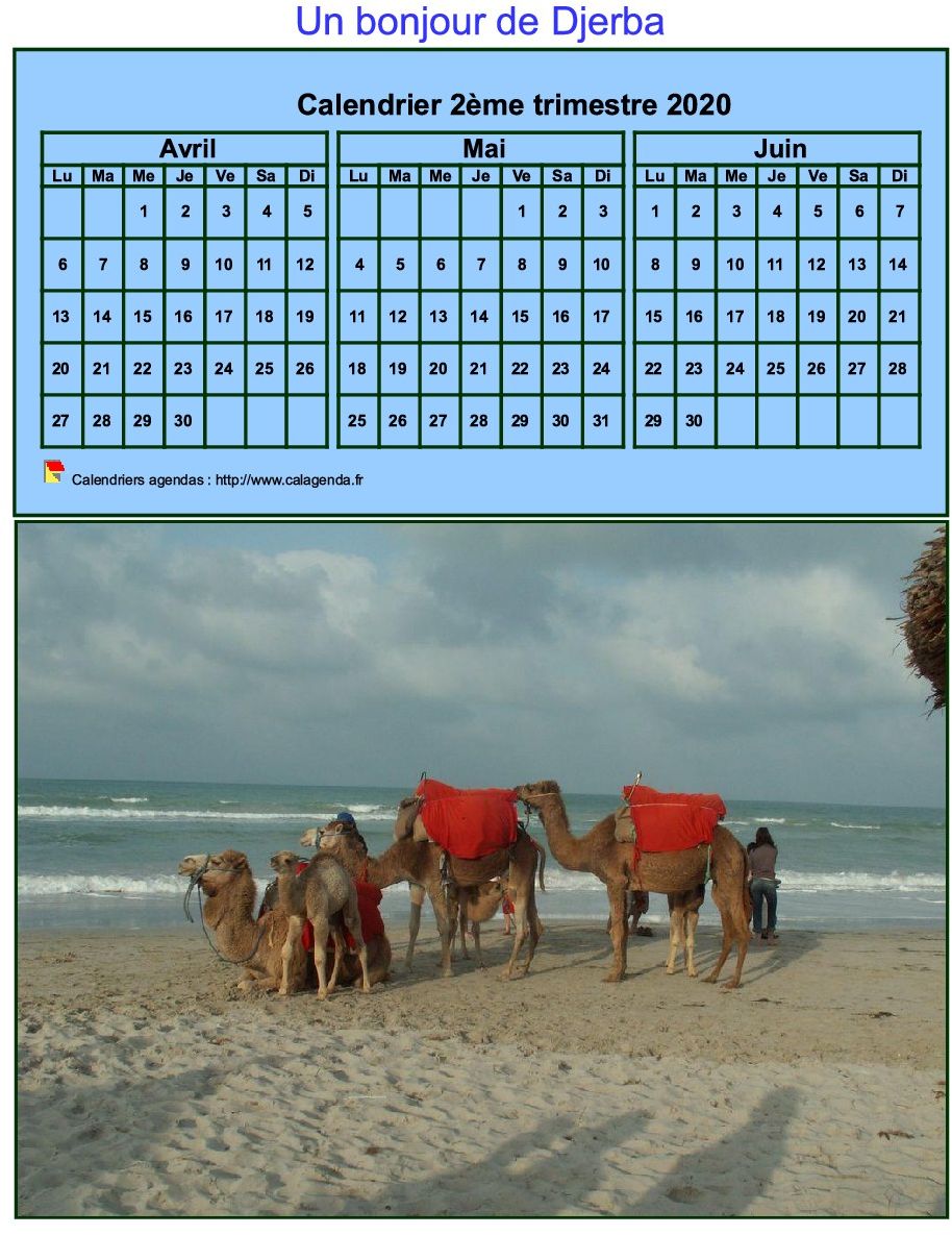 Calendrier 2020 à imprimer trimestriel, format mini, fond bleu, avec photo