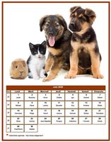 Calendrier de juin 2020 chiens