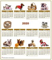 Calendrier 2020 annuel spécial 'chiens' avec 10 photos