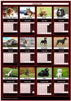 Un chien de race pour chacun des mois de ce calendrier 2020 annuel Un chien de race pour chacun des mois de ce calendrier 2020 annuel