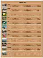 Calendrier 2020 annuel horizontal avec 12 photos Calendrier 2020 annuel horizontal avec 12 photos