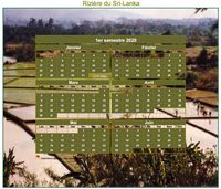 Calendrier 2020 artistique semestriel à imprimer, format mini de poche, avec photo