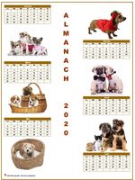 Calendrier 2020 semestriel chiens format portrait