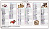 Calendrier 2020 semestriel chiens