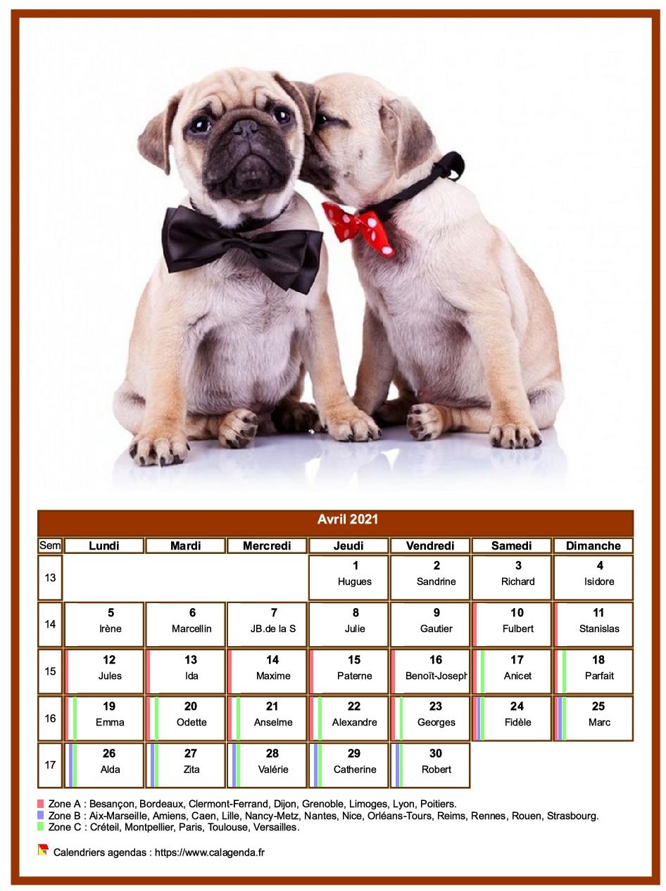 Calendrier avril 2021 chiens