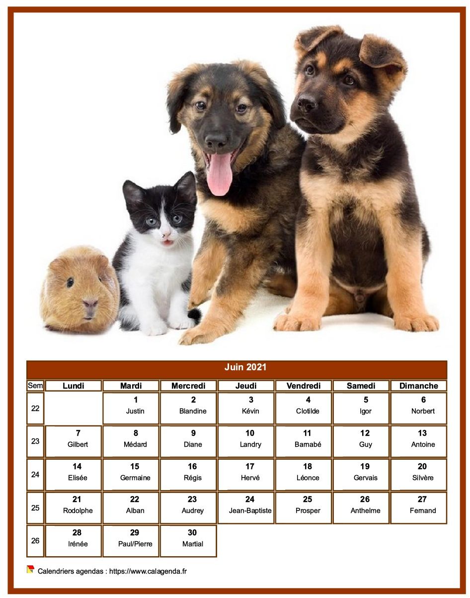 Calendrier juin 2021 chiens Calendrier juin 2021 chiens