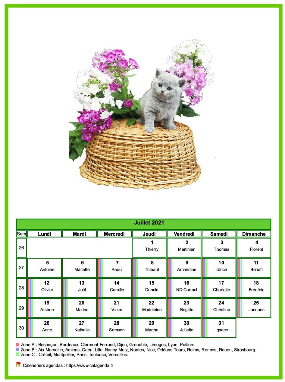 Calendrier juillet 2021 chats