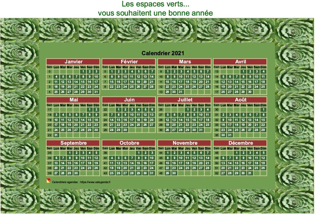 Calendrier 2021 décoratif annuel à imprimer, avec cadre photo vert