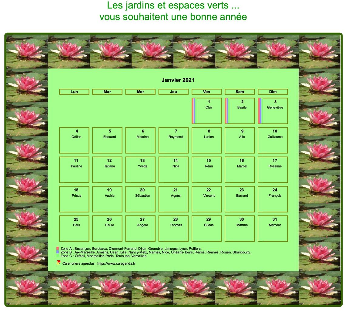 Calendrier 2021 agenda décoratif mensuel, cadre avec motifs nénuphars