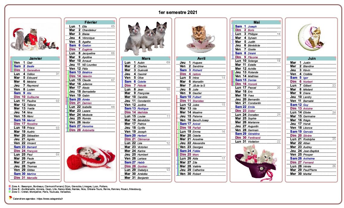 Calendrier 2021 semestriel chats