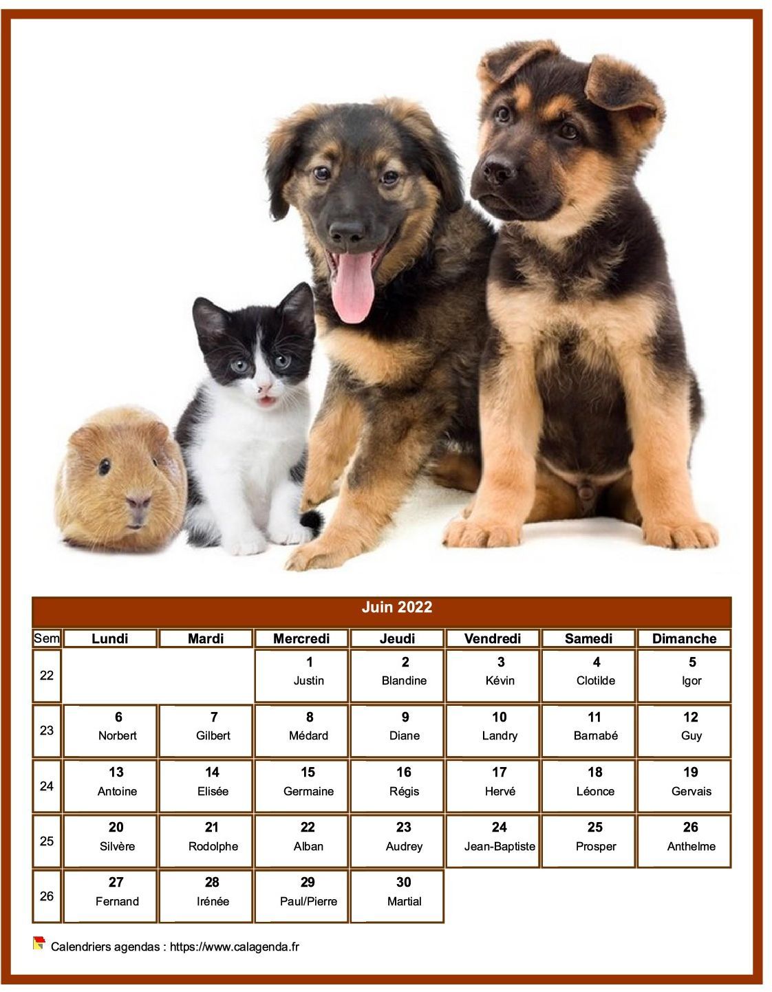 Calendrier juin 2022 chiens