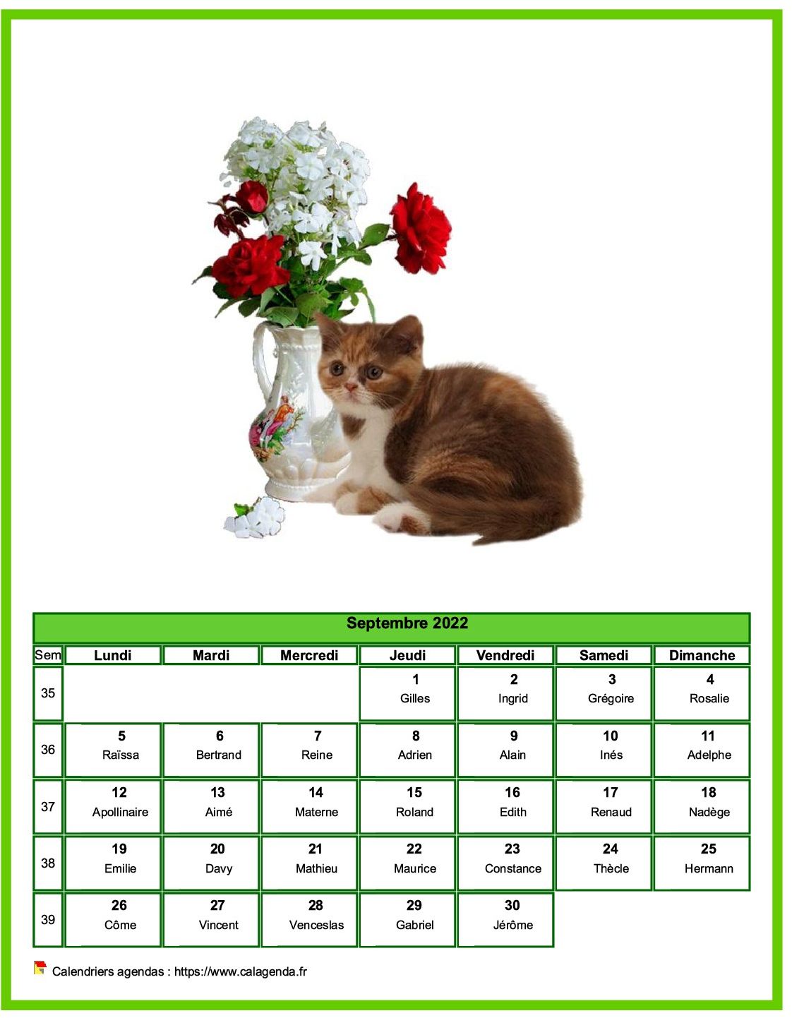 Calendrier septembre 2022 chats