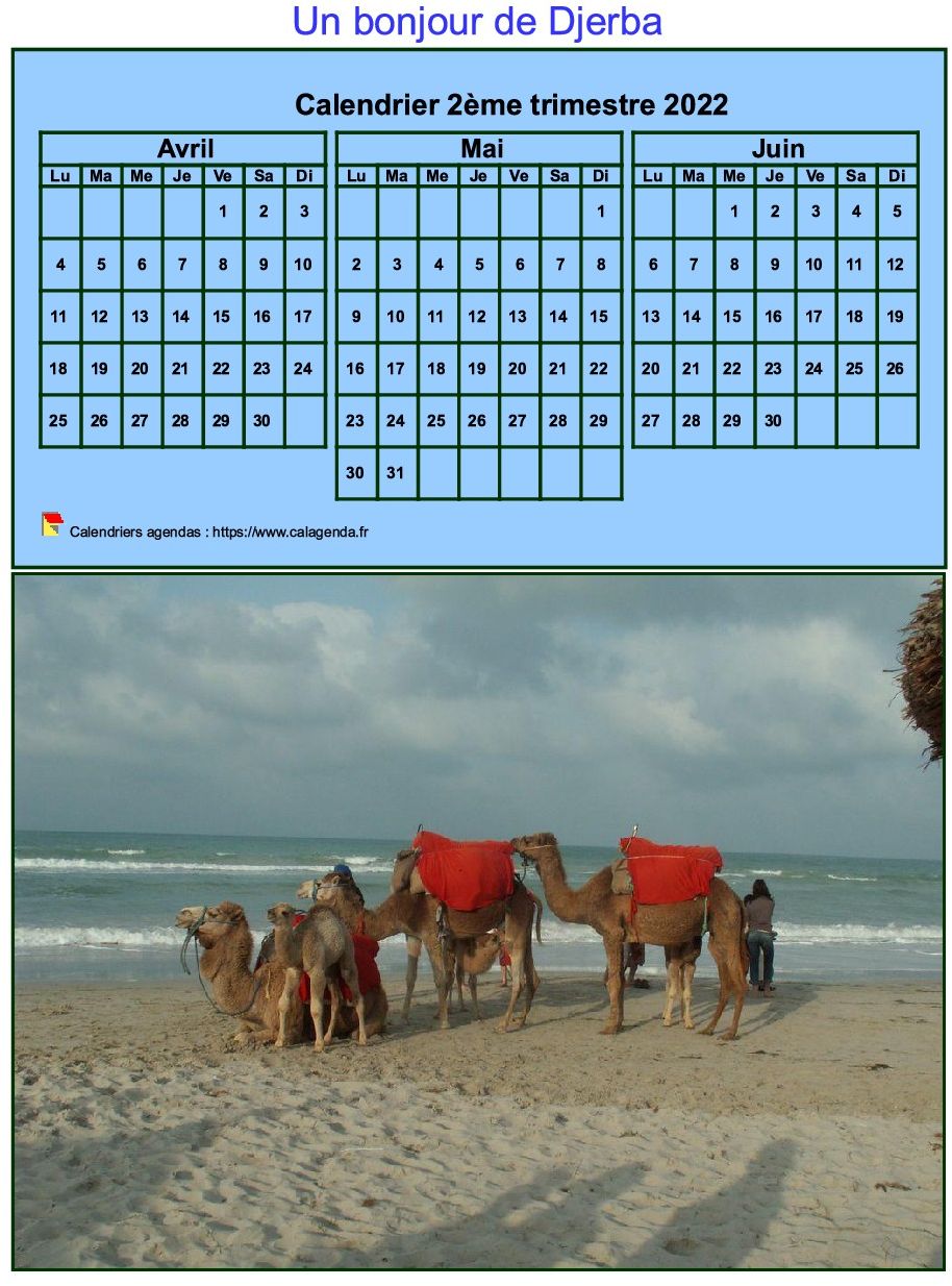 Calendrier 2022 à imprimer trimestriel, format mini, fond bleu, avec photo