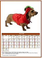 Calendrier de février 2022 chiens