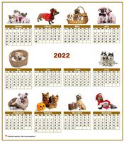 Calendrier 2022 annuel spécial 'chiens' avec 10 photos