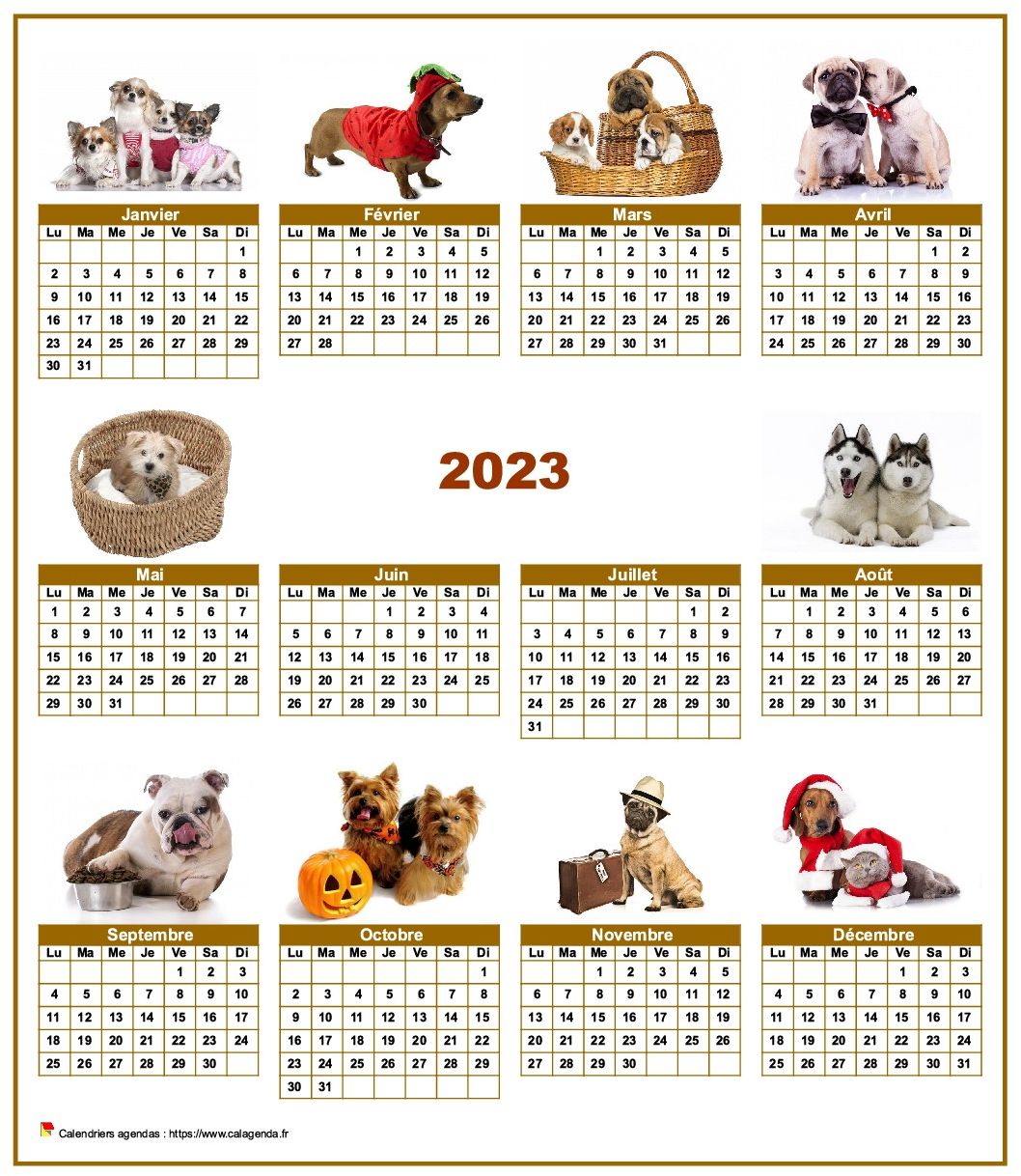 Calendrier 2023 annuel spécial 'chiens' avec 10 photos