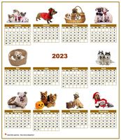 Calendrier annuel spécial 'chiens' avec 10 photos