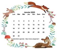 Calendrier de janvier 2023 style flore et faune