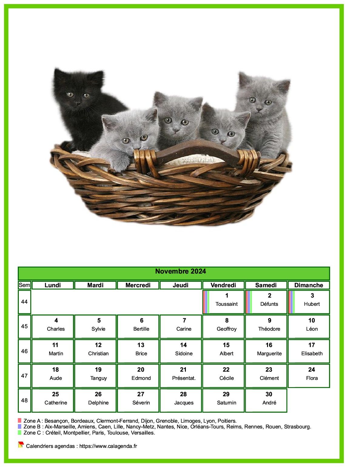 Calendrier novembre 2024 chats Calendrier novembre 2024 chats