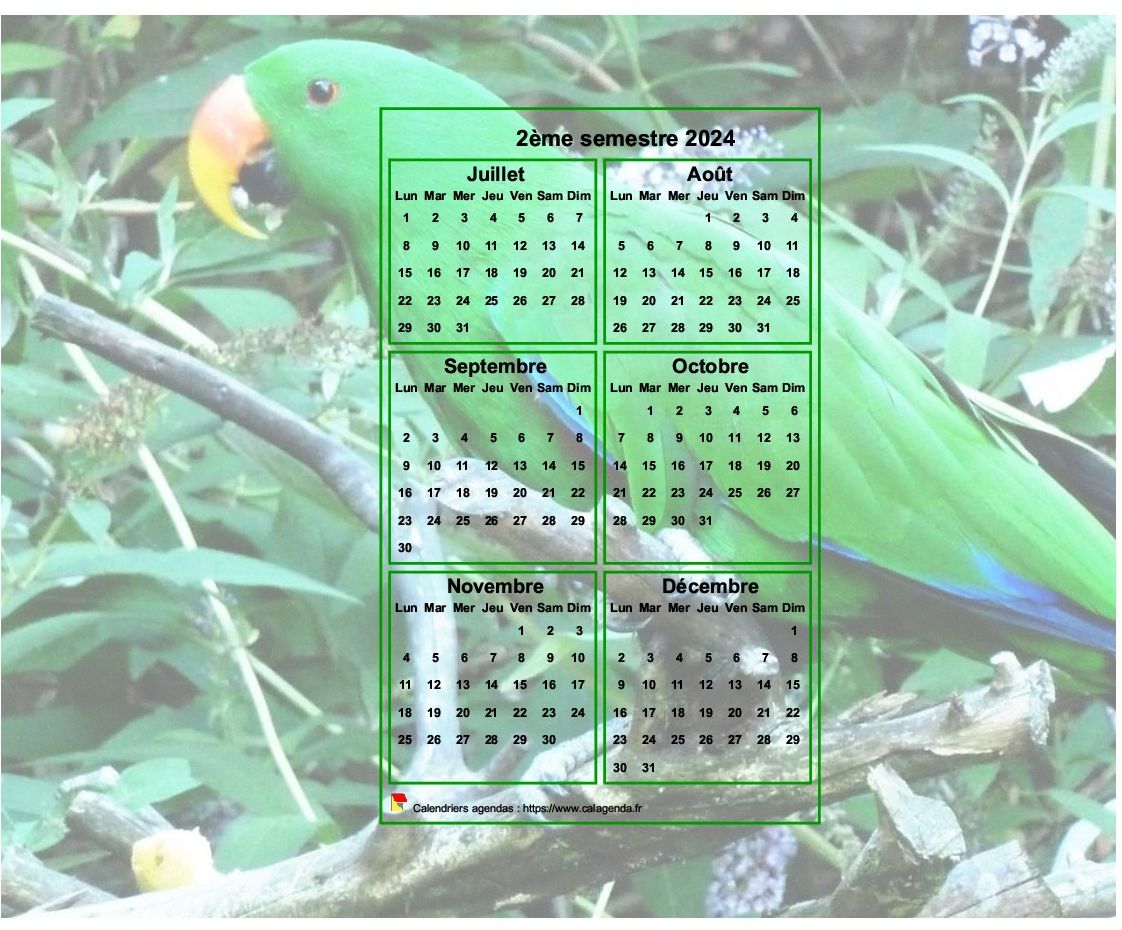 Calendrier 2024 à imprimer semestriel, format paysage, incrusté au centre d'une photo (perroquet vert). Calendrier 2024 à imprimer semestriel, format paysage, incrusté au centre d'une photo (perroquet vert).