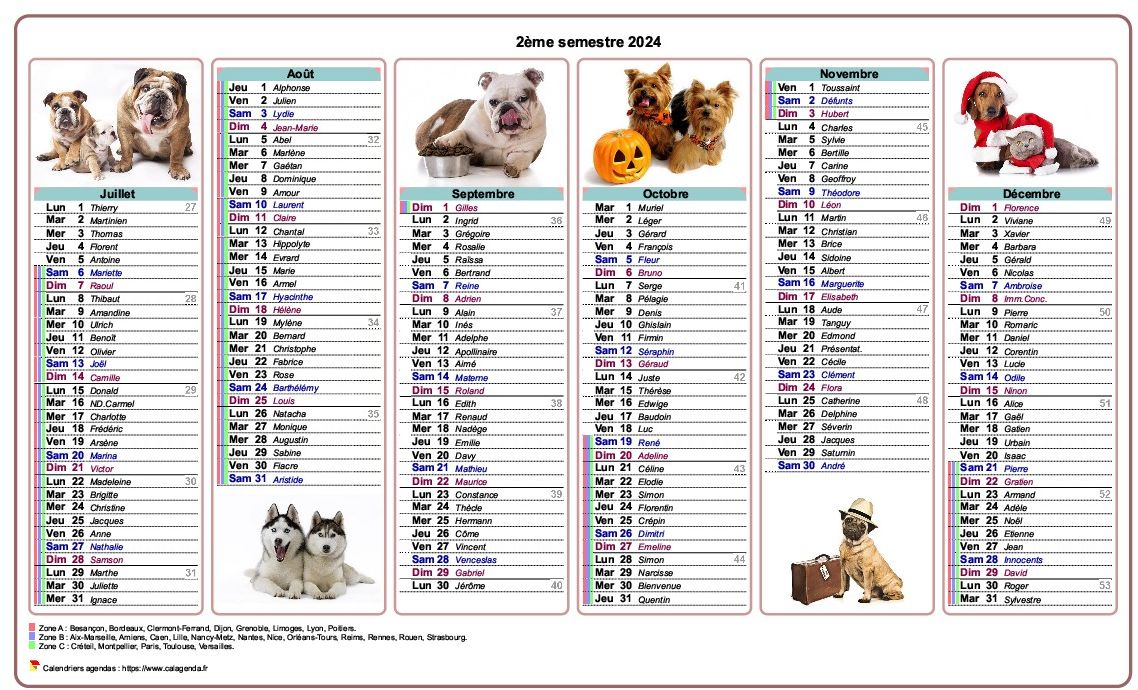 Calendrier 2024 semestriel chiens