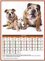 Calendrier de juillet chiens