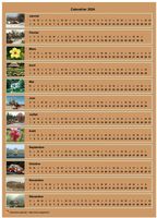 Calendrier annuel horizontal avec 12 photos