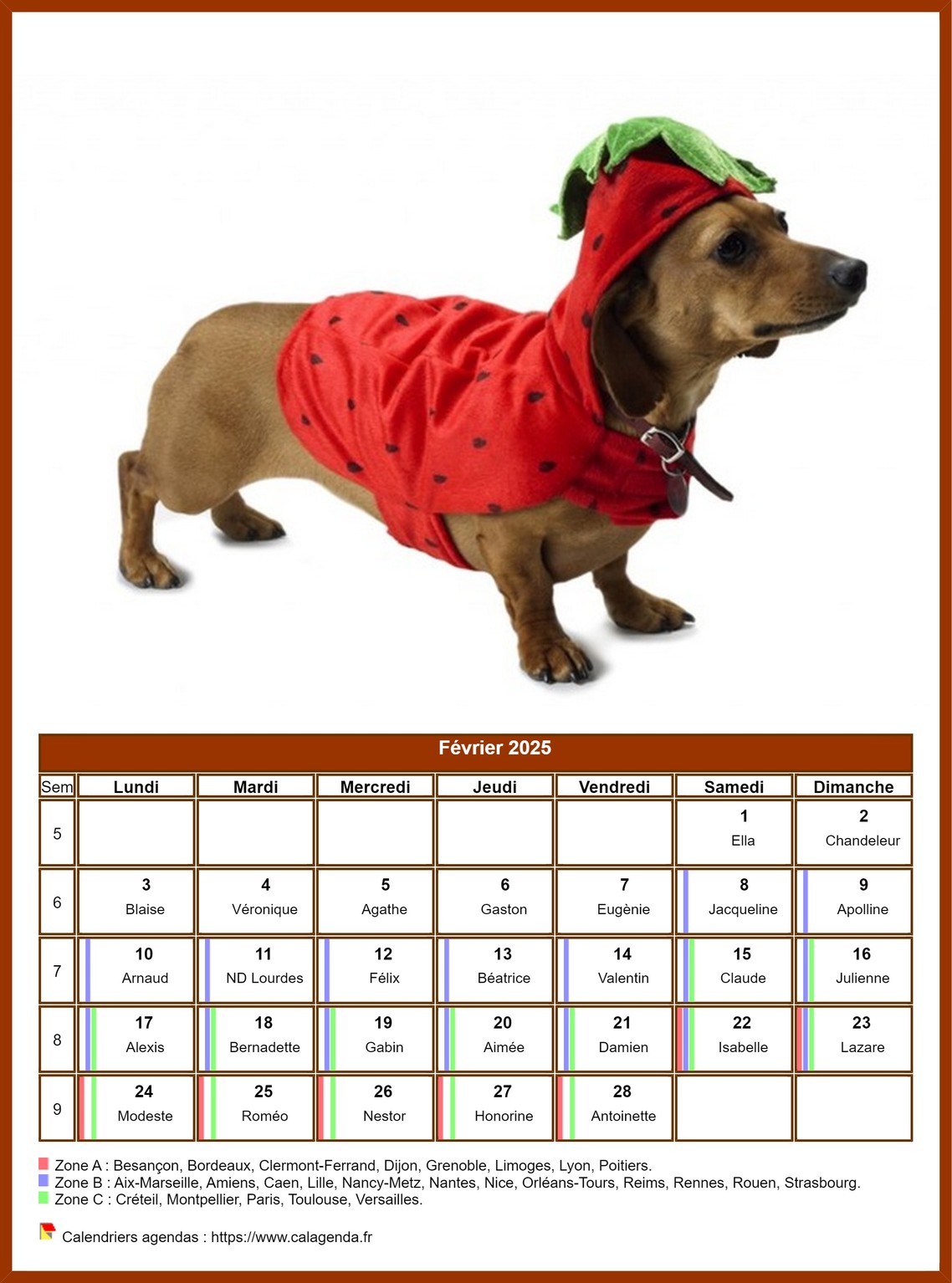 Calendrier février 2025 chiens